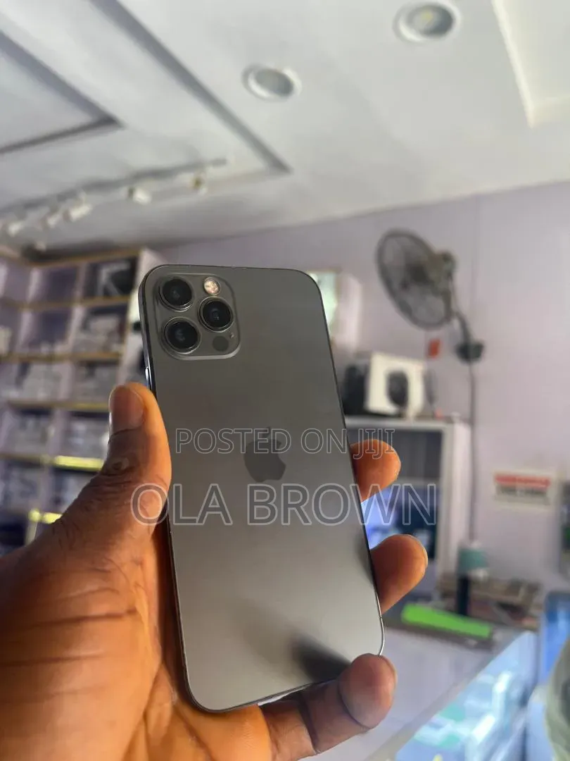 Apple iPhone 11 Pro Max 256 GB Gray