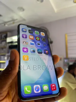 Apple iPhone 11 Pro Max 256 GB Gray