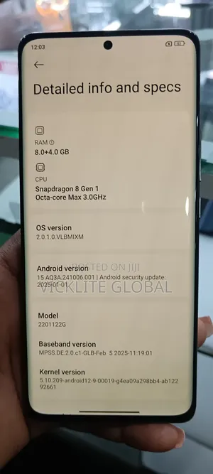 Xiaomi 12 Pro 256 GB Gray