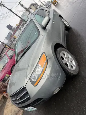 Hyundai Santa Fe 2008 Gray