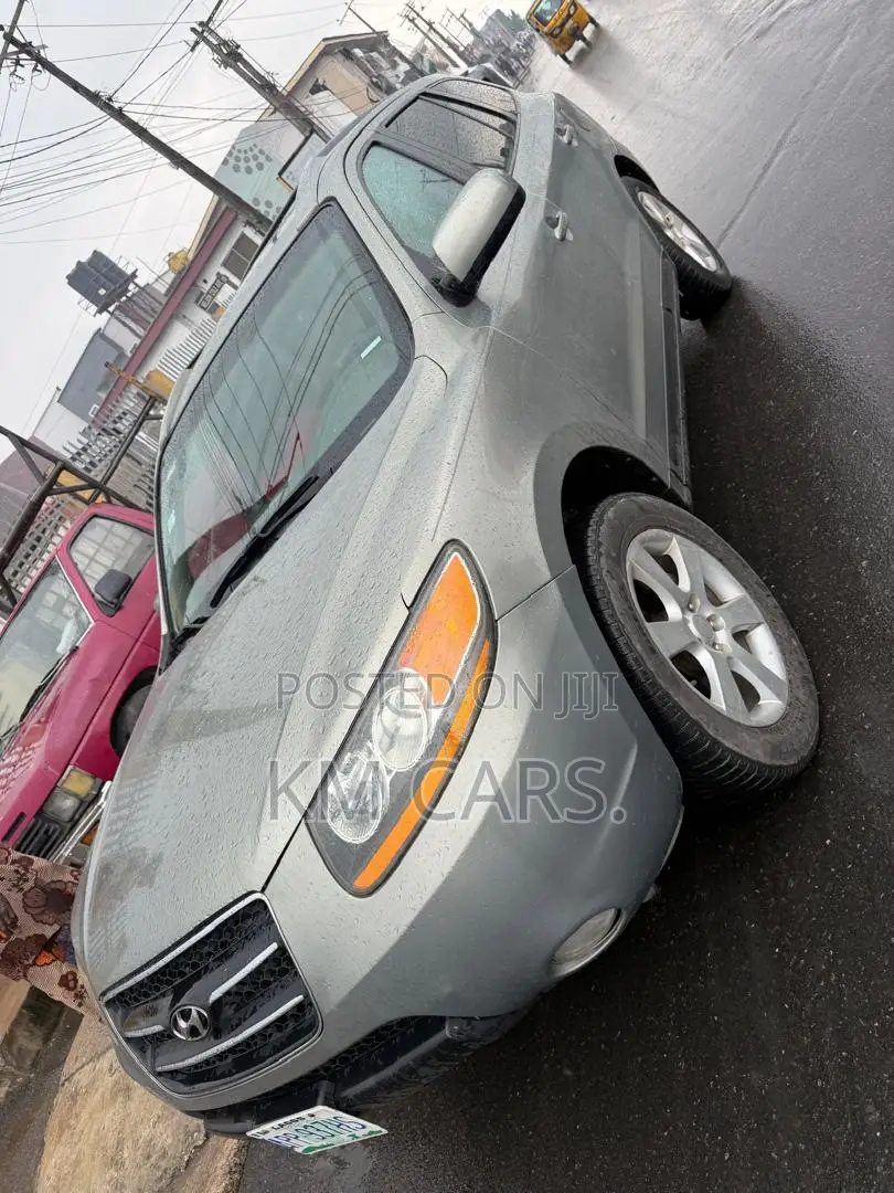 Hyundai Santa Fe 2008 Gray