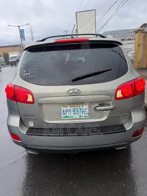 Hyundai Santa Fe 2008 Gray