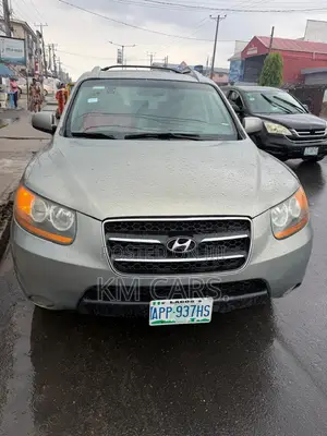 Hyundai Santa Fe 2008 Gray