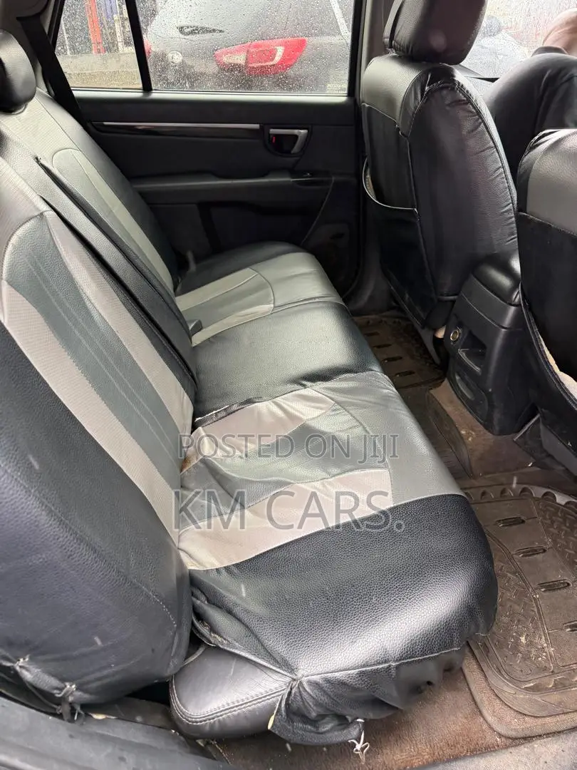 Hyundai Santa Fe 2008 Gray
