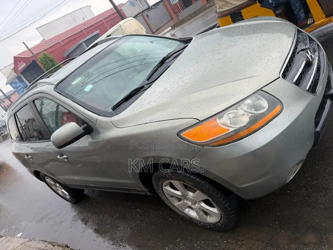 Hyundai Santa Fe 2008 Gray