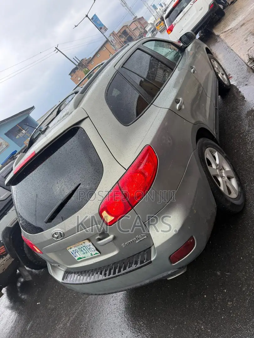 Hyundai Santa Fe 2008 Gray
