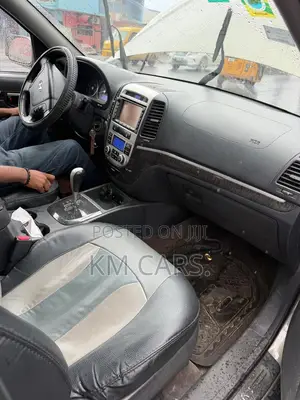 Hyundai Santa Fe 2008 Gray