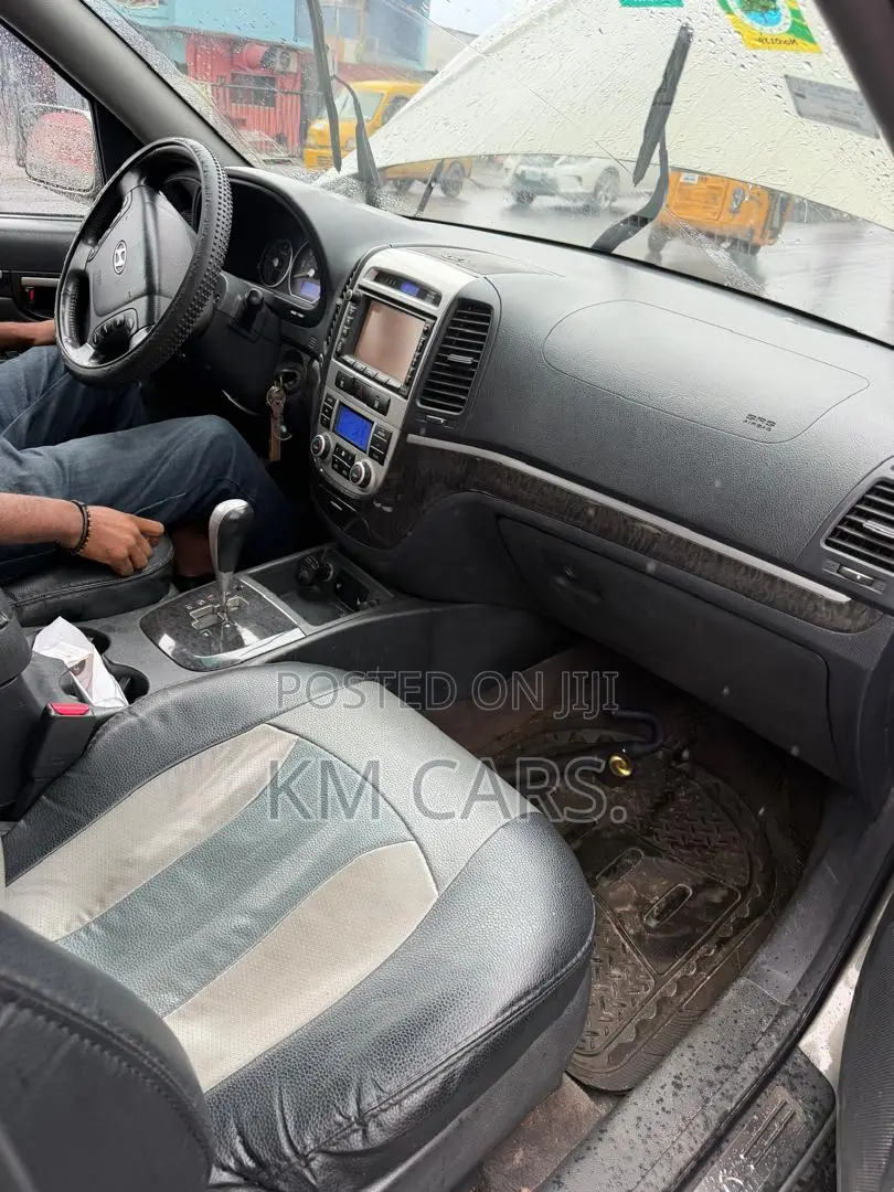 Hyundai Santa Fe 2008 Gray