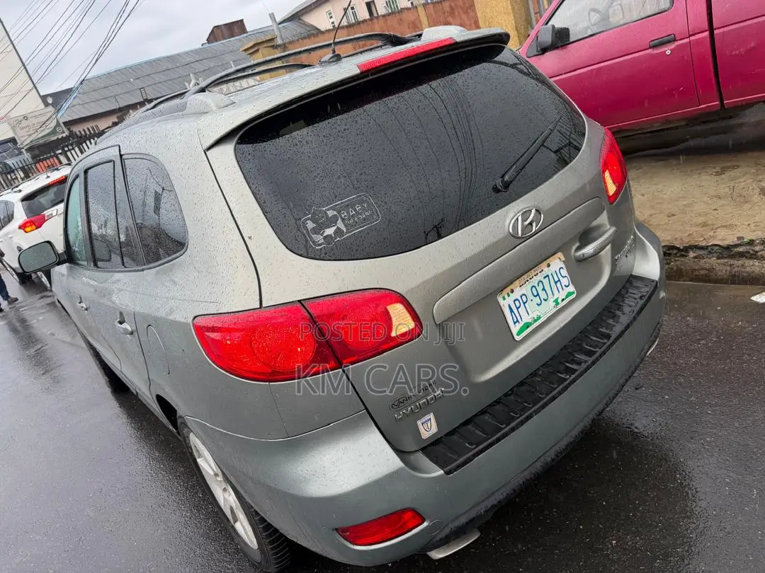Hyundai Santa Fe 2008 Gray