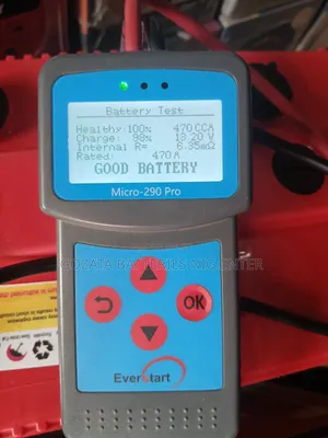 Starplus Tubular Solar Battery