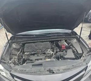 Toyota Camry 2019 Gray
