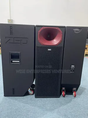 Professional Speaker