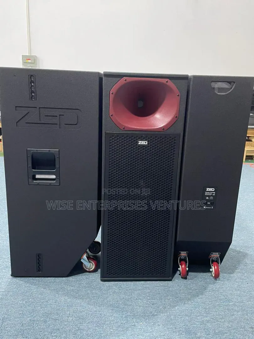 Professional Speaker