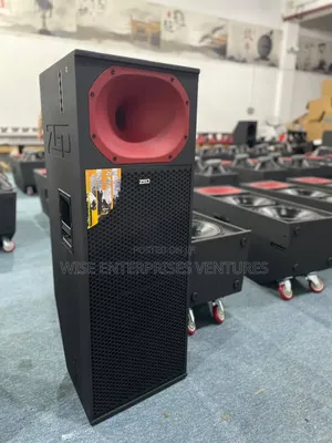Professional Speaker