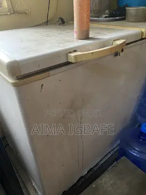 Scanfrost Double Door Chest Freezer