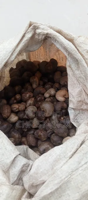 Raw Cashew Nuts