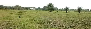 Full Plot of Land at Wawa Bus Stop Along Lagos Ibadan Expressway