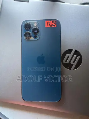 Apple iPhone 12 Pro Max 256 GB Blue