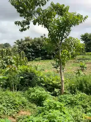 Distress Sale | 2 Prime Residential Plots in Durumi