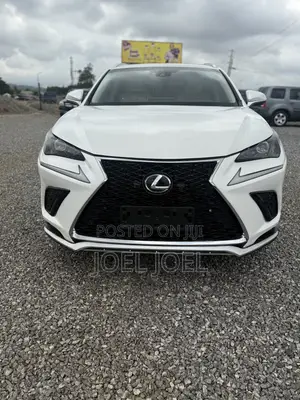 Lexus NX 2020 White