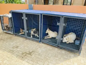 Giant Dog Cage