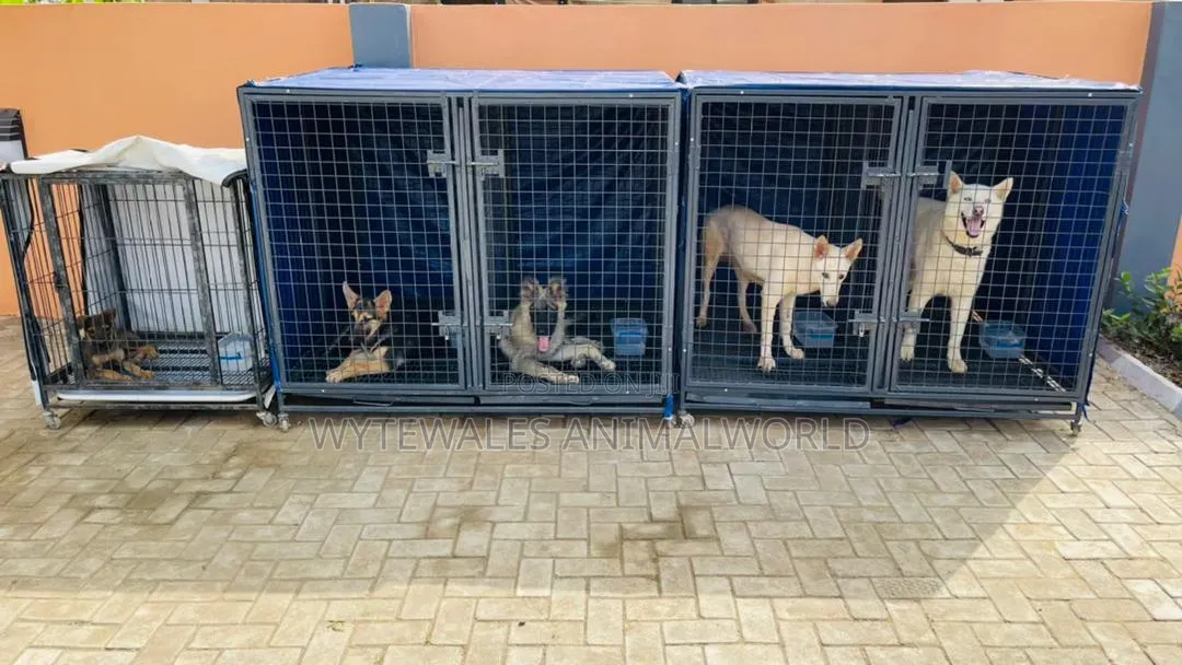 Giant Dog Cage