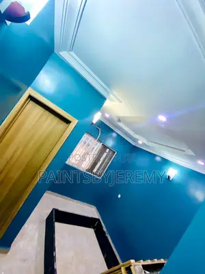 Pro Painter in Lagos - Interior Exterior - PaintsByJeremy