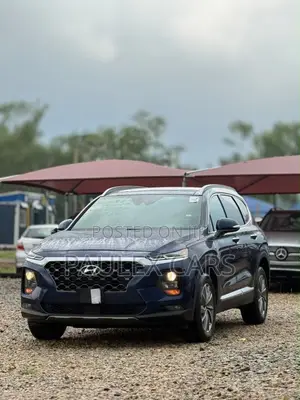 Hyundai Santa Fe Ultimate 2.4 FWD 2019 Blue