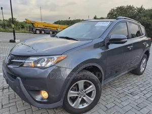 Toyota RAV4 XLE 4dr SUV AWD (2.5L 4cyl 6A) 2015 Gray