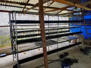 I Make Battery Cages for Both Layers and Broilers. 1 Unit For Price