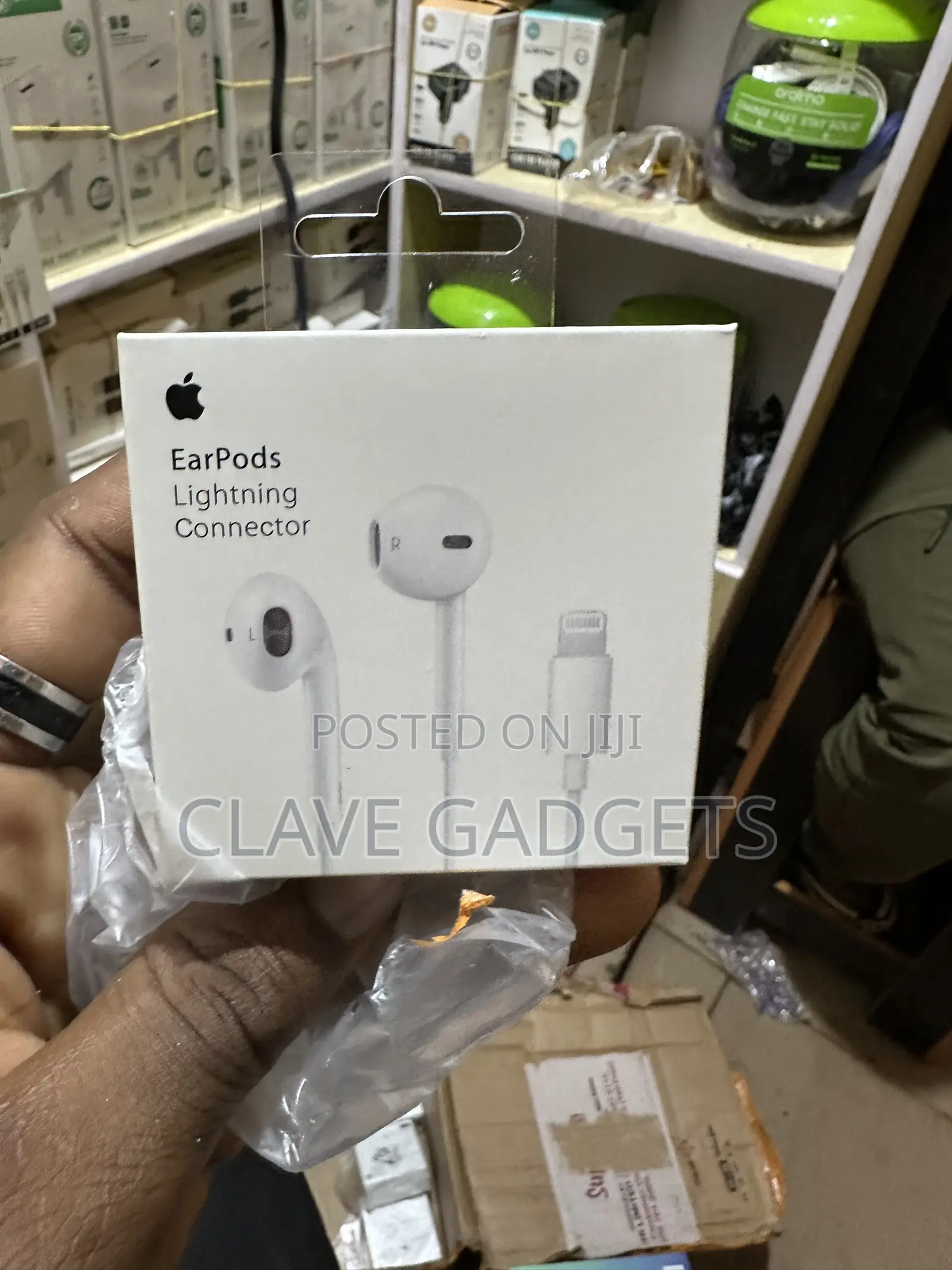 Apple Earphones