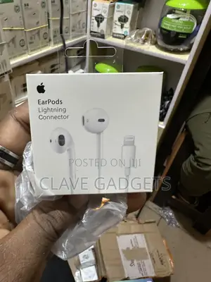 Apple Earphones