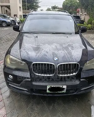 BMW X5 xDrive 30i AWD (3.0L 6cyl 6A) 2009 Blue
