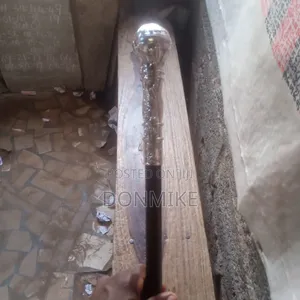 Walking Stick