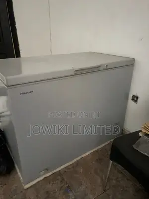 Hicense 297 Liter Chest Freezer