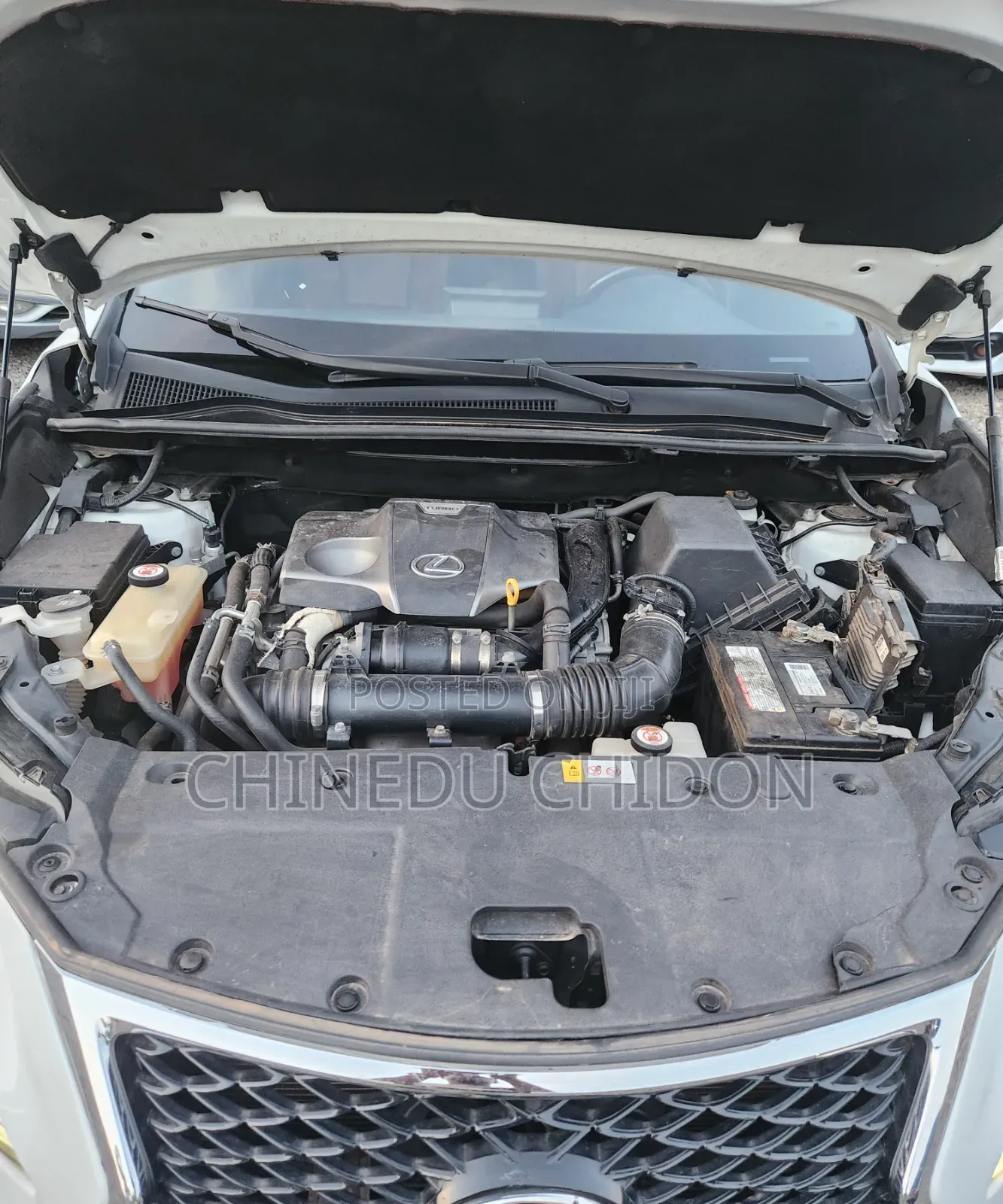 Lexus NX 2017 White