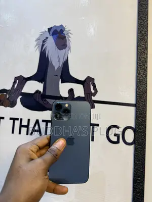 Apple iPhone 12 Pro Max 256 GB Blue