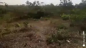 2 Plots of Land at Sanusi Idi Ayunre Opp Chi Farms