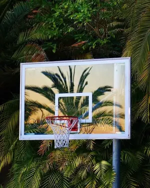 Basketball Rim, Nets, Backboard and Ball