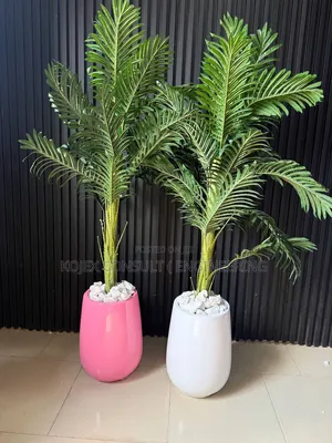 Egg Accent VASE With Palm Plant 
Size ;5ft 
Pot Is Fibre