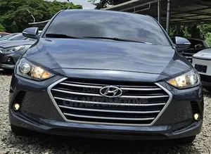 Hyundai Elantra Limited Sedan FWD (2.0L 4cyl 6A) 2017 Gray