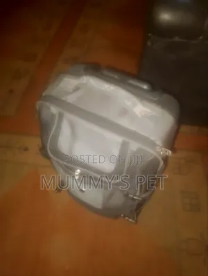 Ecolac Bag
