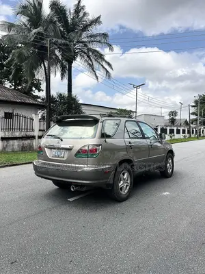 Lexus RX 300 2005 Gray