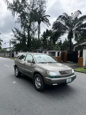 Lexus RX 300 2005 Gray