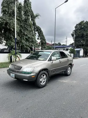 Lexus RX 300 2005 Gray