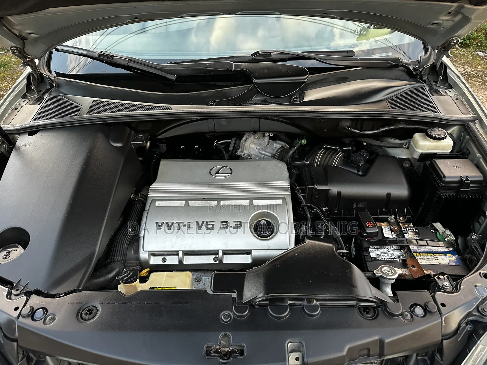 Lexus RX 330 2005 Green
