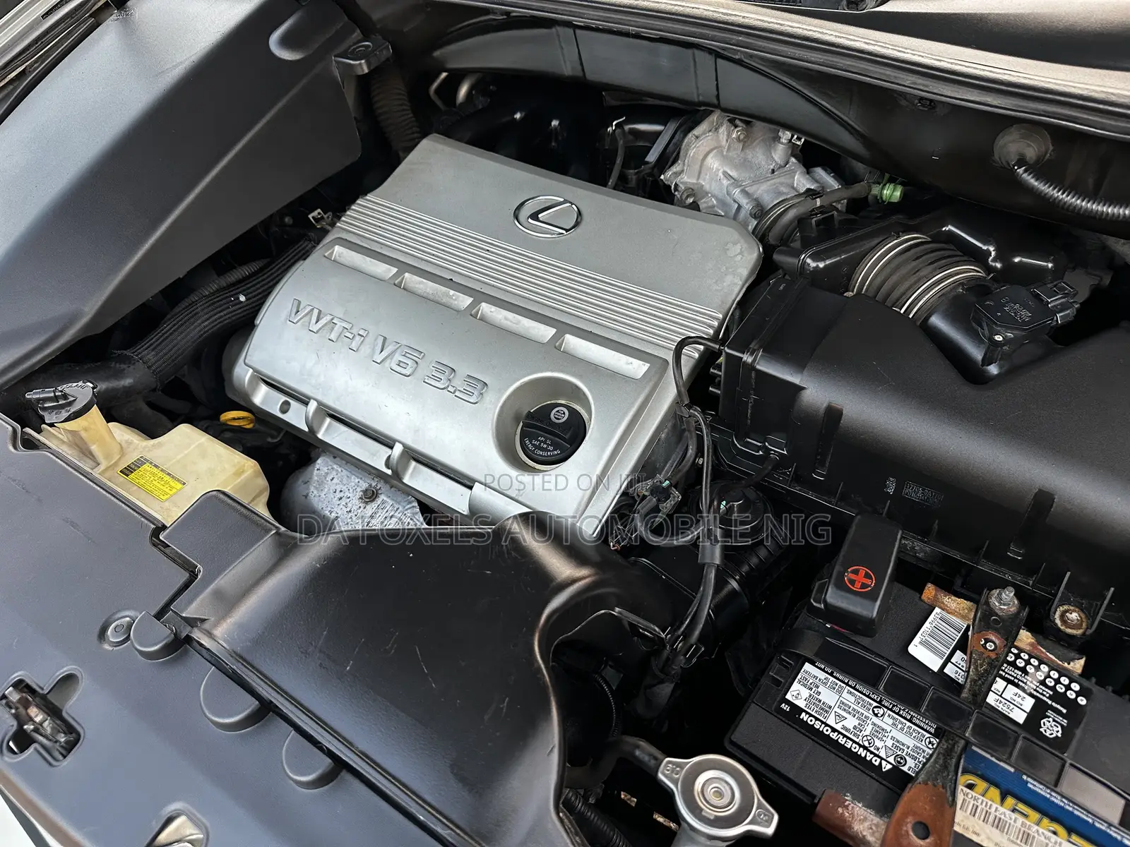 Lexus RX 330 2005 Green