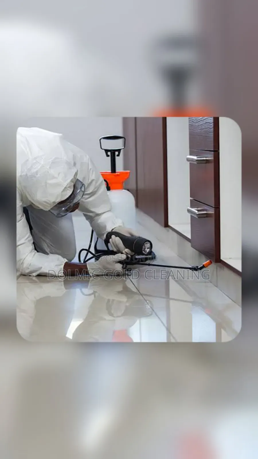 Pest/Bedbugs Control