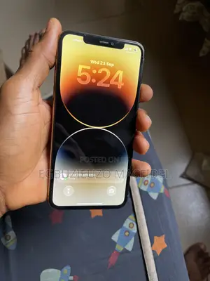 Apple iPhone 11 Pro Max 256 GB Gray