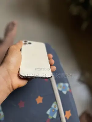 Apple iPhone 11 Pro Max 256 GB Gray